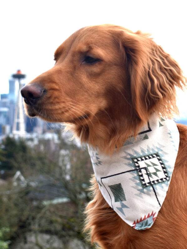 Desert Sand Bandana