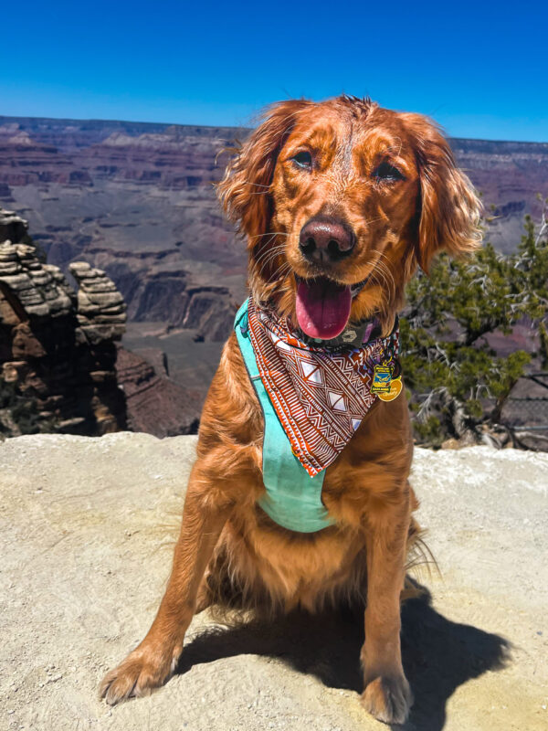 Sand Valley Bandana