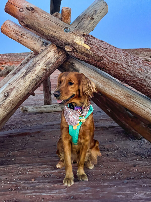 Sand Valley Bandana