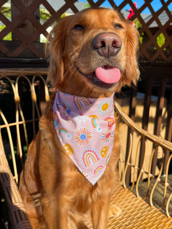 Groovy Trail Mix Bandana