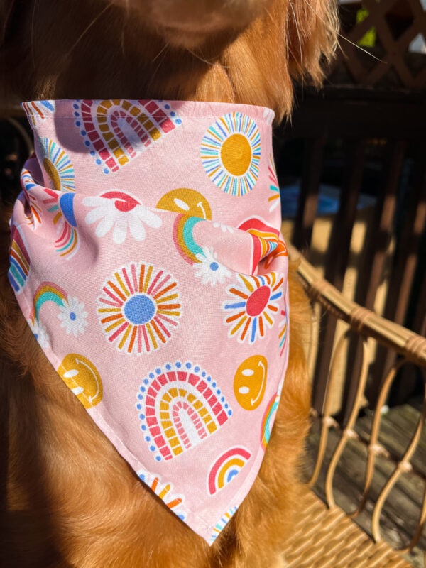 Groovy Trail Mix Bandana