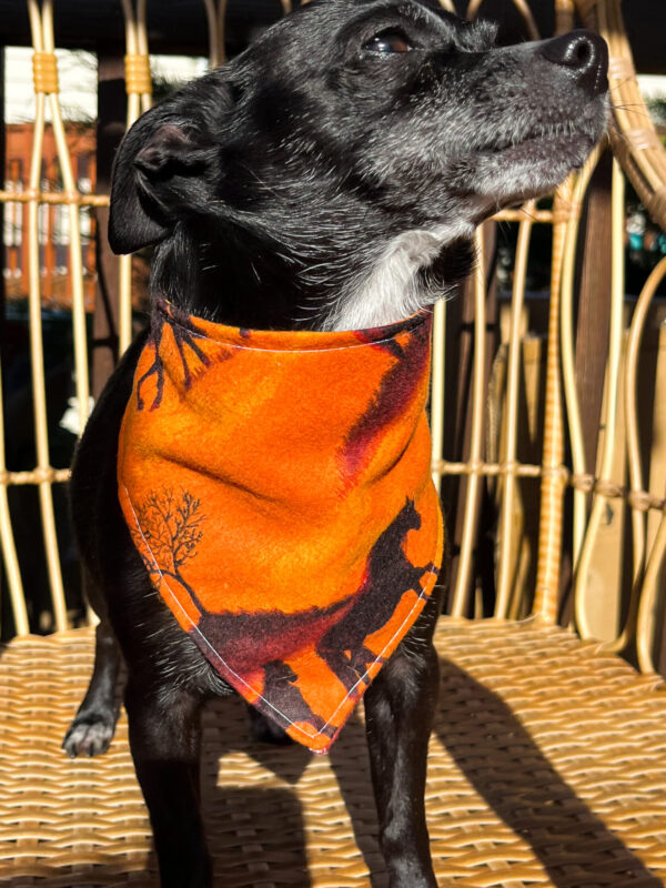 Sunset Ride Bandana