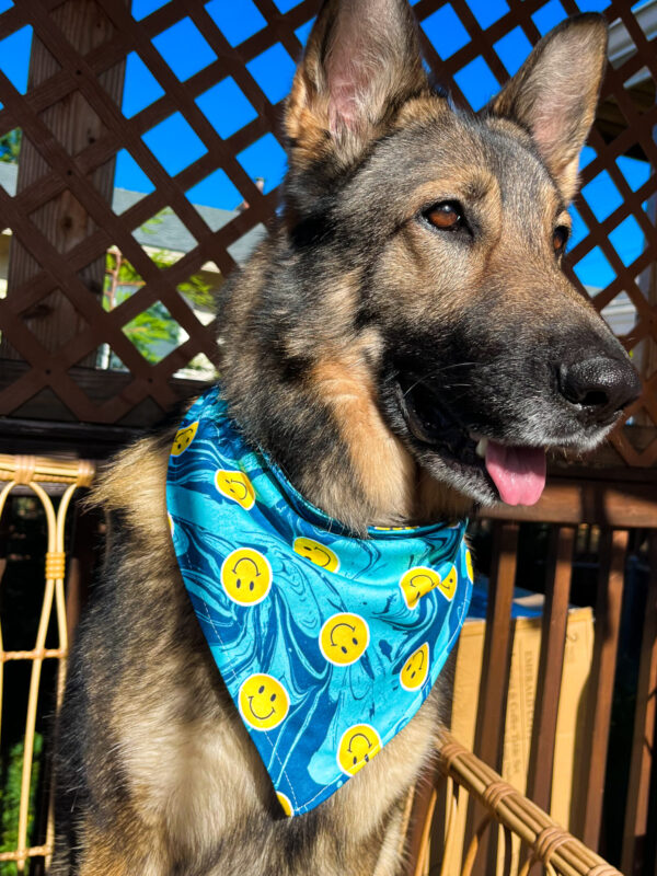 Groovy Smiles Bandana