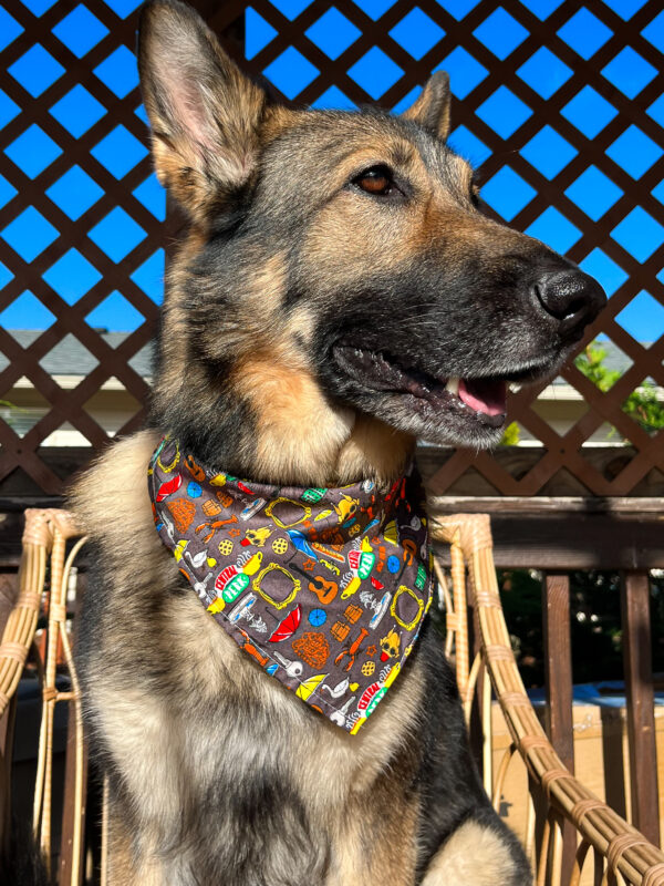 Furiends Joey Bandana