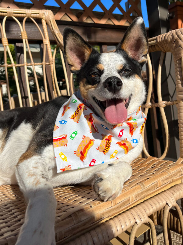 Hot Diggity Dog Bandana