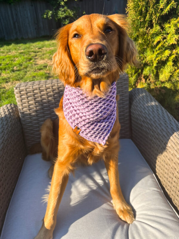 Lilac Wonders Bandana