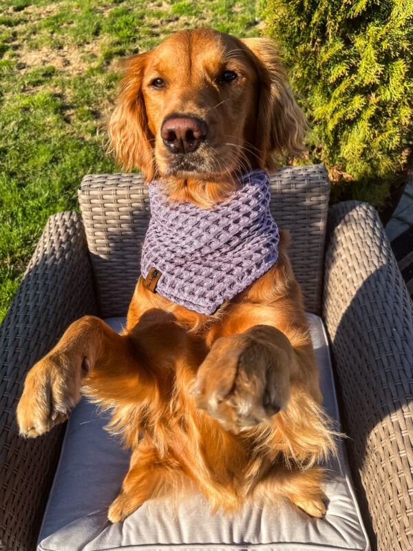 Lilac Wonders Bandana