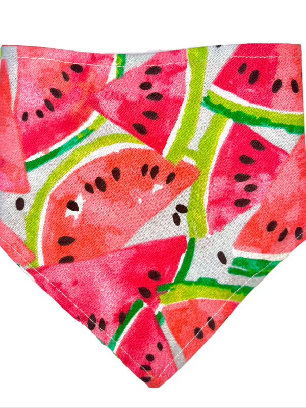 Watermelon lover Bandana