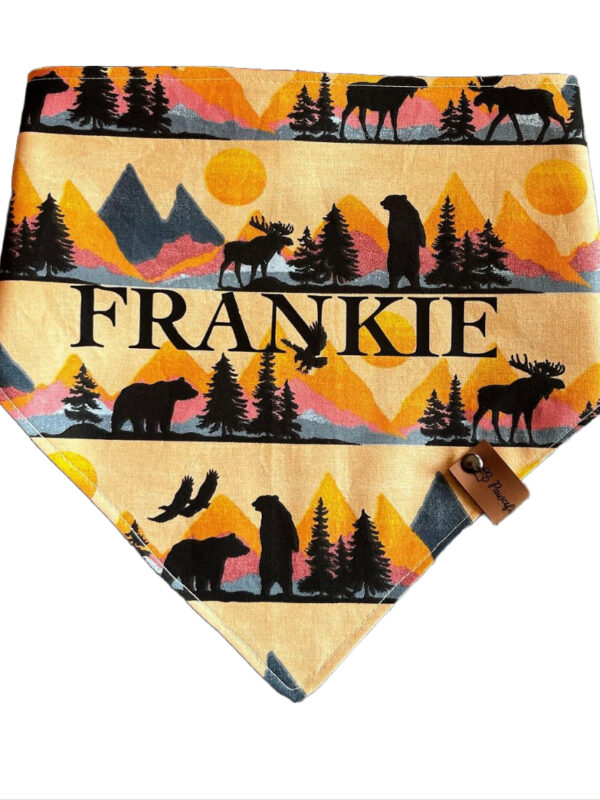 Brother Bear Bandana