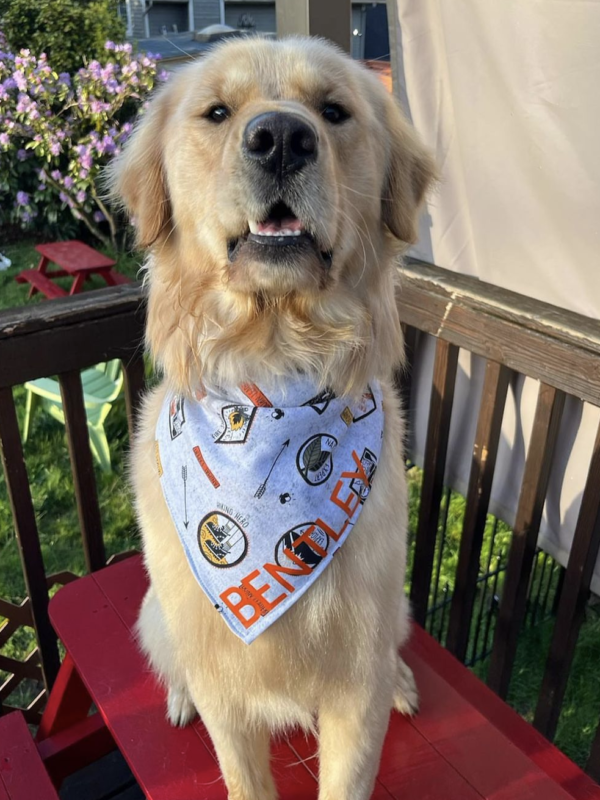 Outdoor Glow in the Dark Bandana