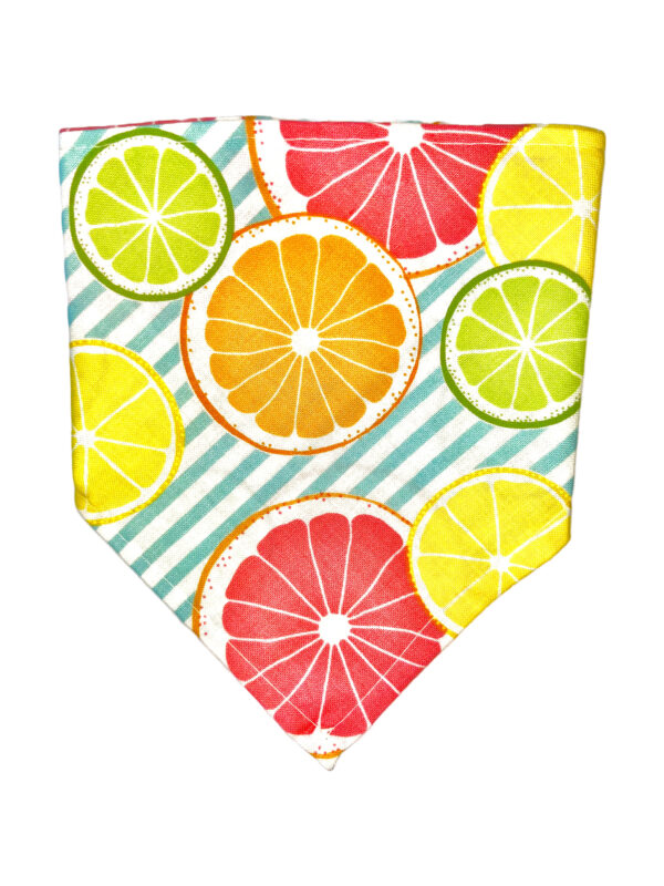 Sippin' Lemonade Bandana