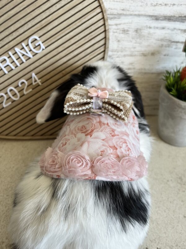 Rose Garden Bunny Harness